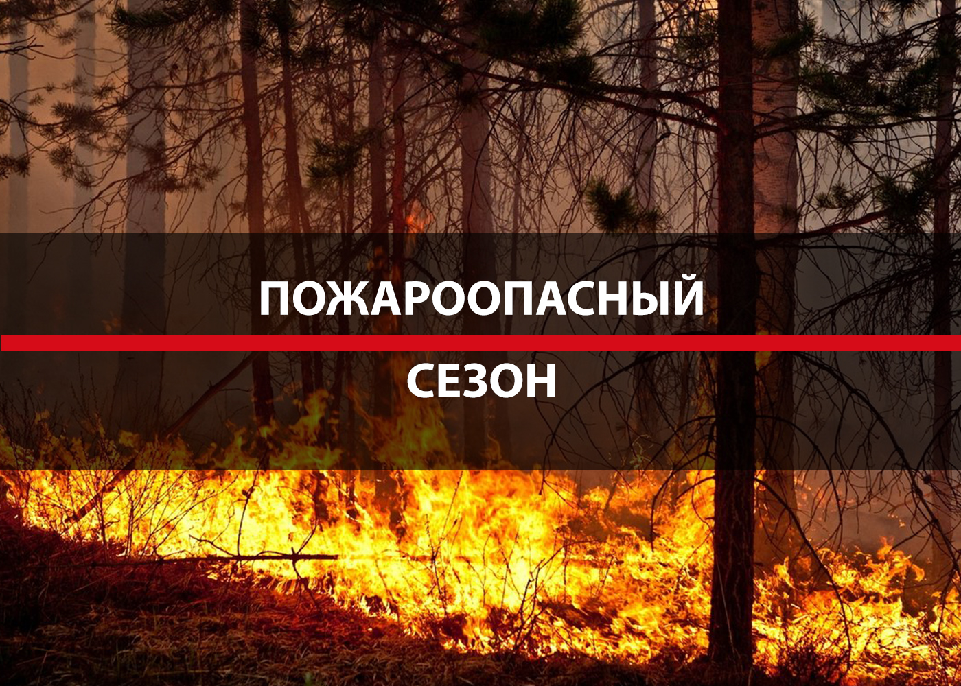 Об установлении начала пожароопасного сезона на территории области в 2024 год.